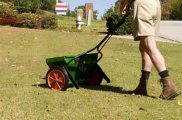 how to apply lawn fertilizer image