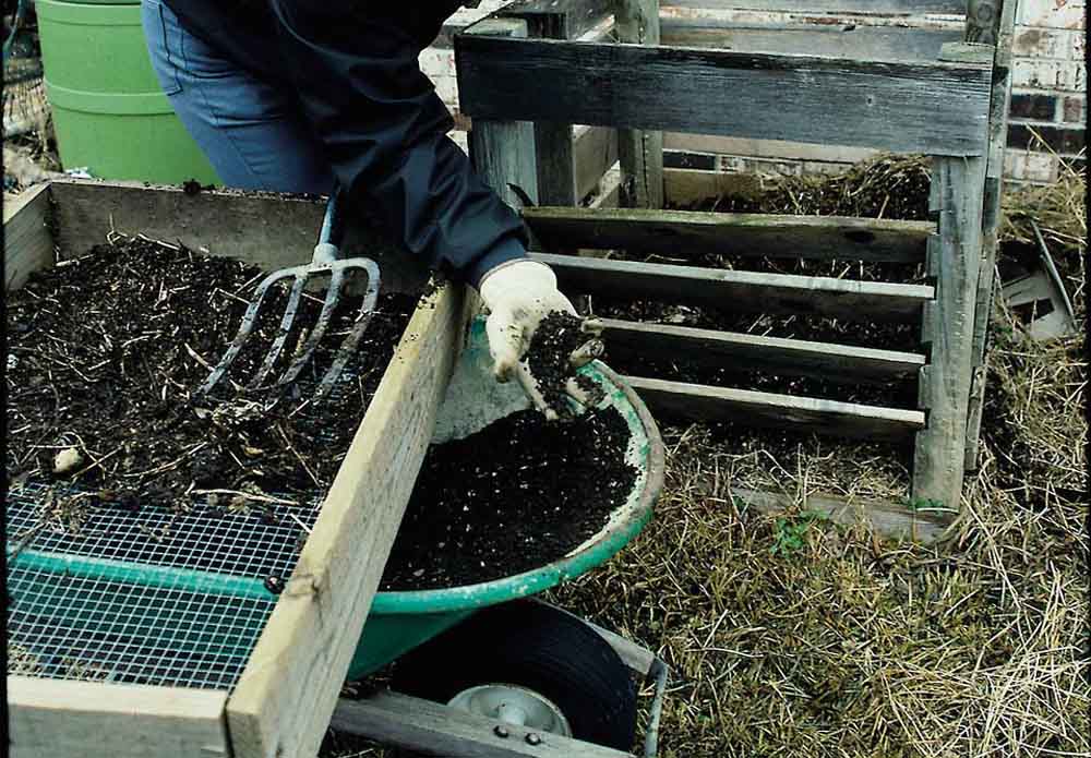how to start composting image