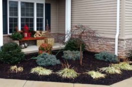 easy landscaping ideas for beginners image